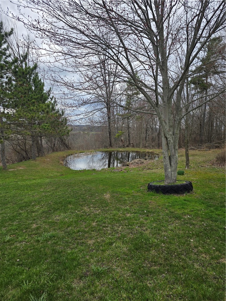 4833 Coss Corners Road Cameron, NY 14819 - Photo 5 of 39