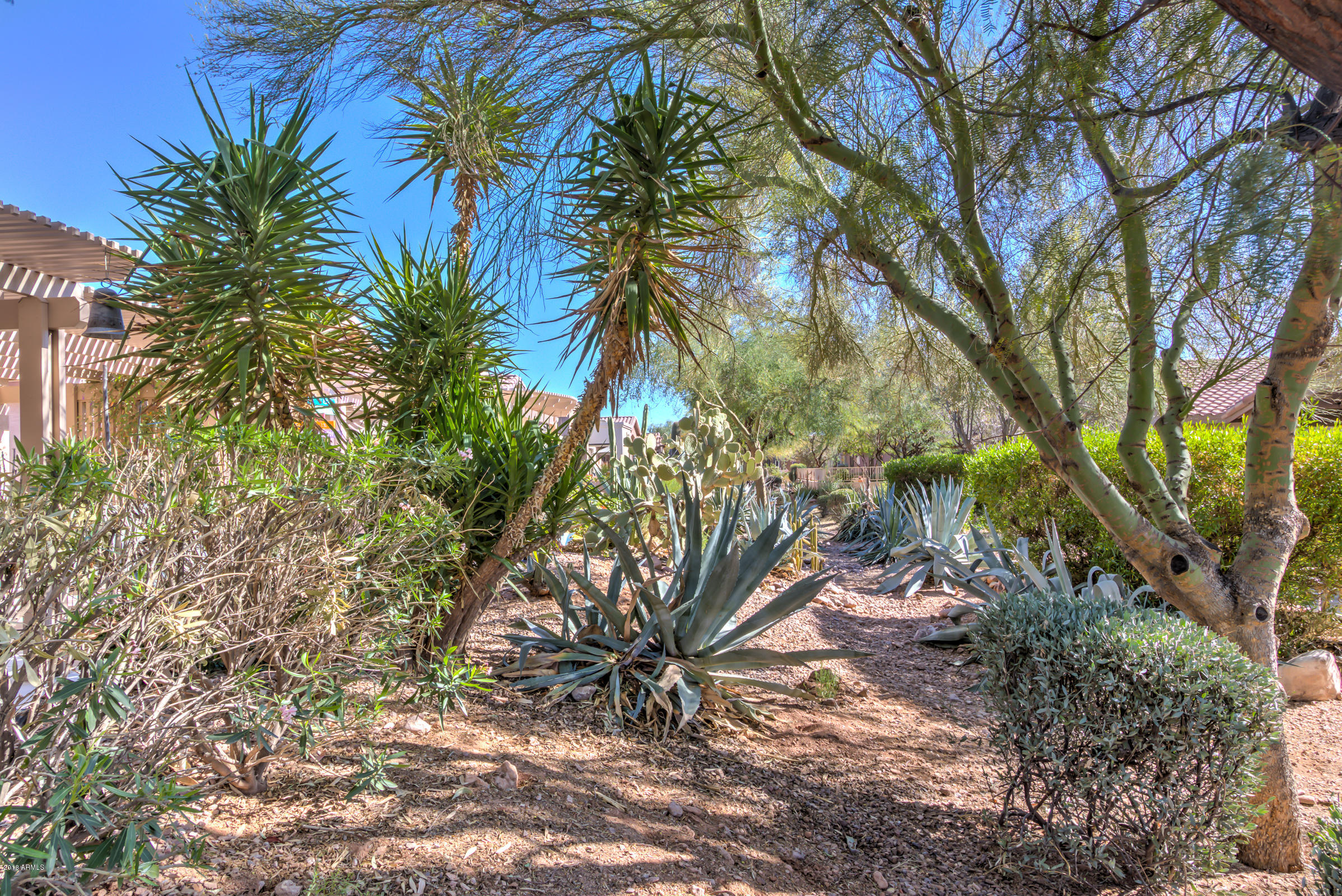7521 Rugged Ironwood Road Gold Canyon, AZ 85118 - Photo 30 of 32 Lovely Landcaping!
