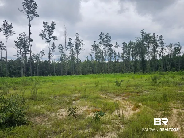 $130,000 | 23799 Lonnie Hadley Road, Perdido, AL 36562