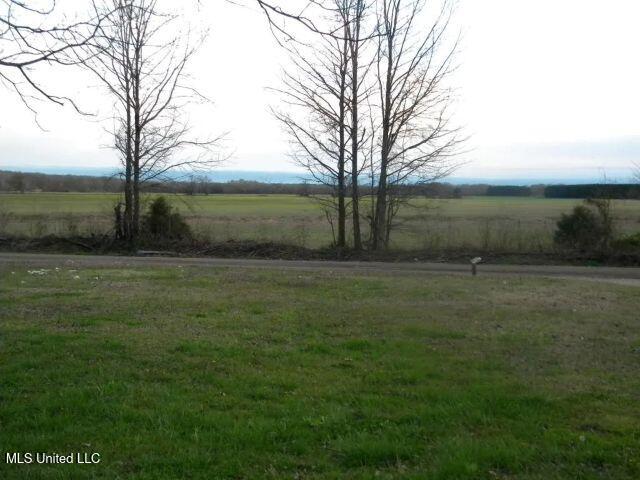 954 Miller Road Michigan City, MS 38647 - Photo 11 of 15 the front yard