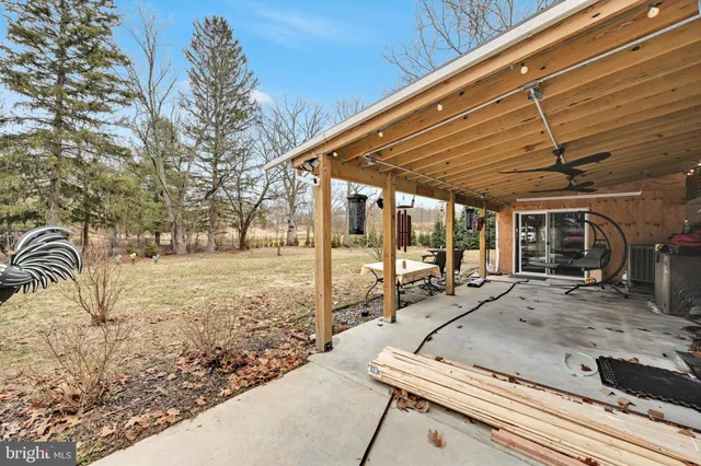 a view of a yard with a tree