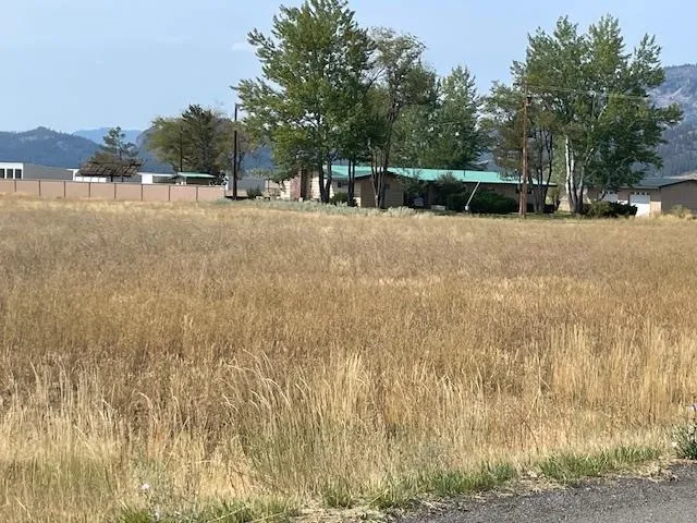a view of lake with trees