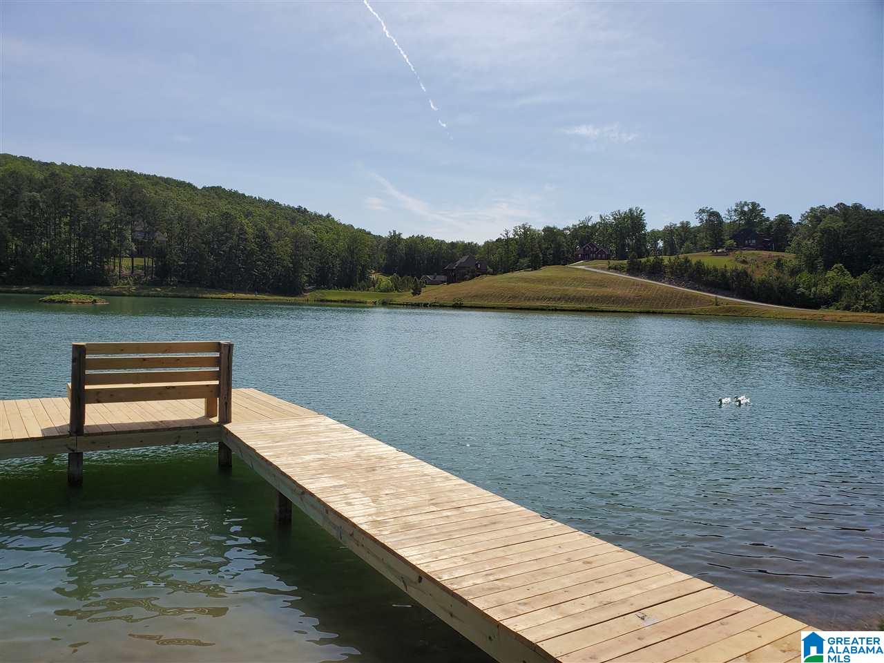 120 Preserve Way, Unit 87 Springville, AL 35146 - Photo 4 of 4