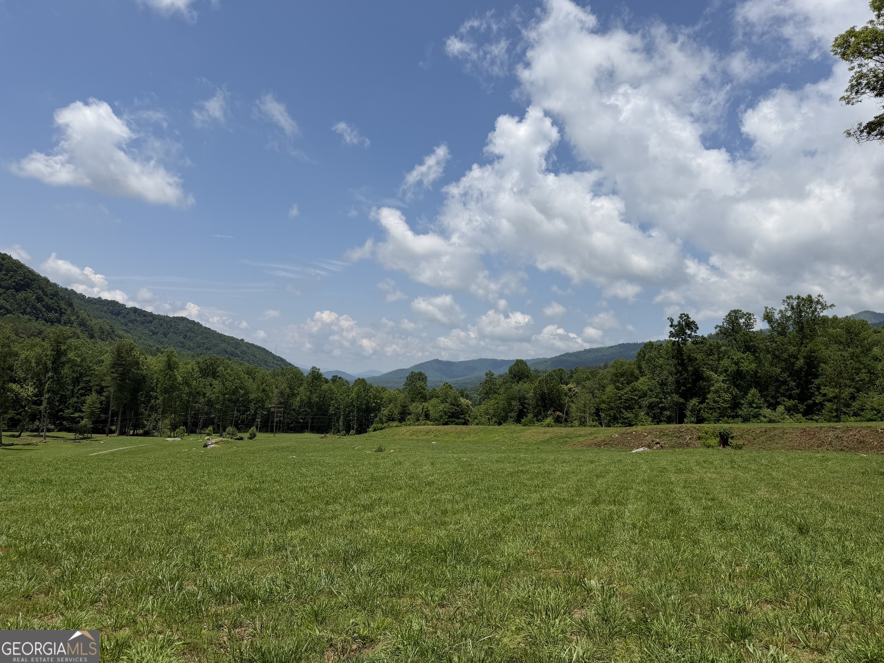 1449 Muskrat Creek Road Hayesville, NC 28904 - Photo 77 of 95