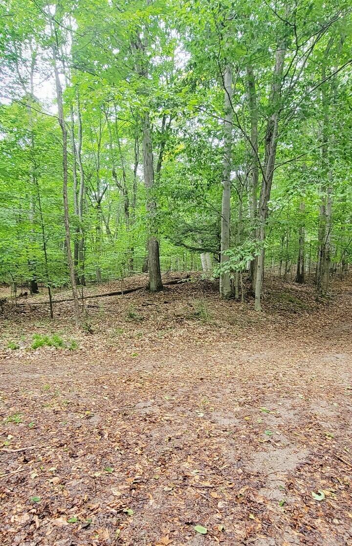 15200 V/l Lake Bluff Road Arcadia, MI 49613 - Photo 16 of 25 844baa1f-a5f0-473f-b76d-773ff04a4f19