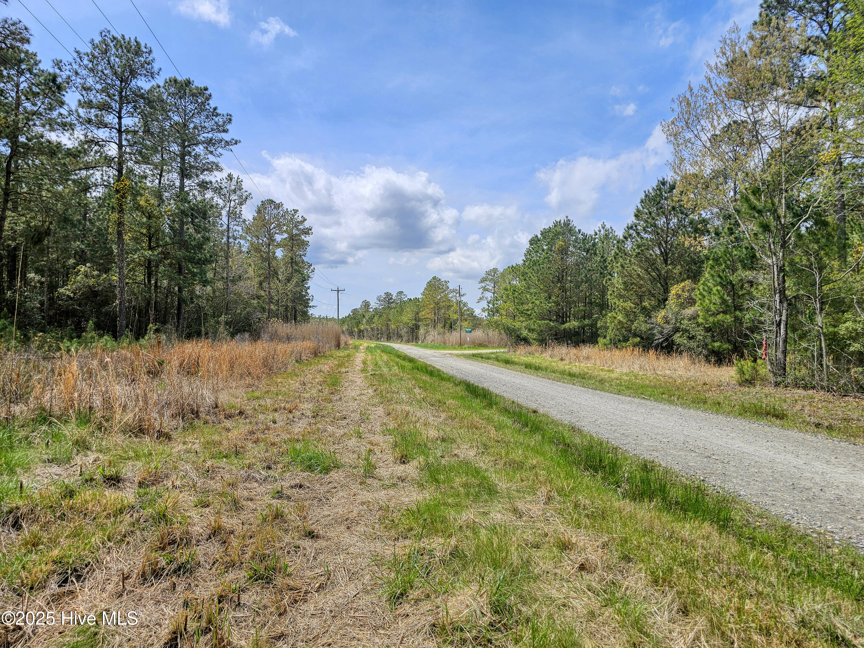 20 Sandy Point Road Scranton, NC 27875 - Photo 3 of 6 20250401_130314b