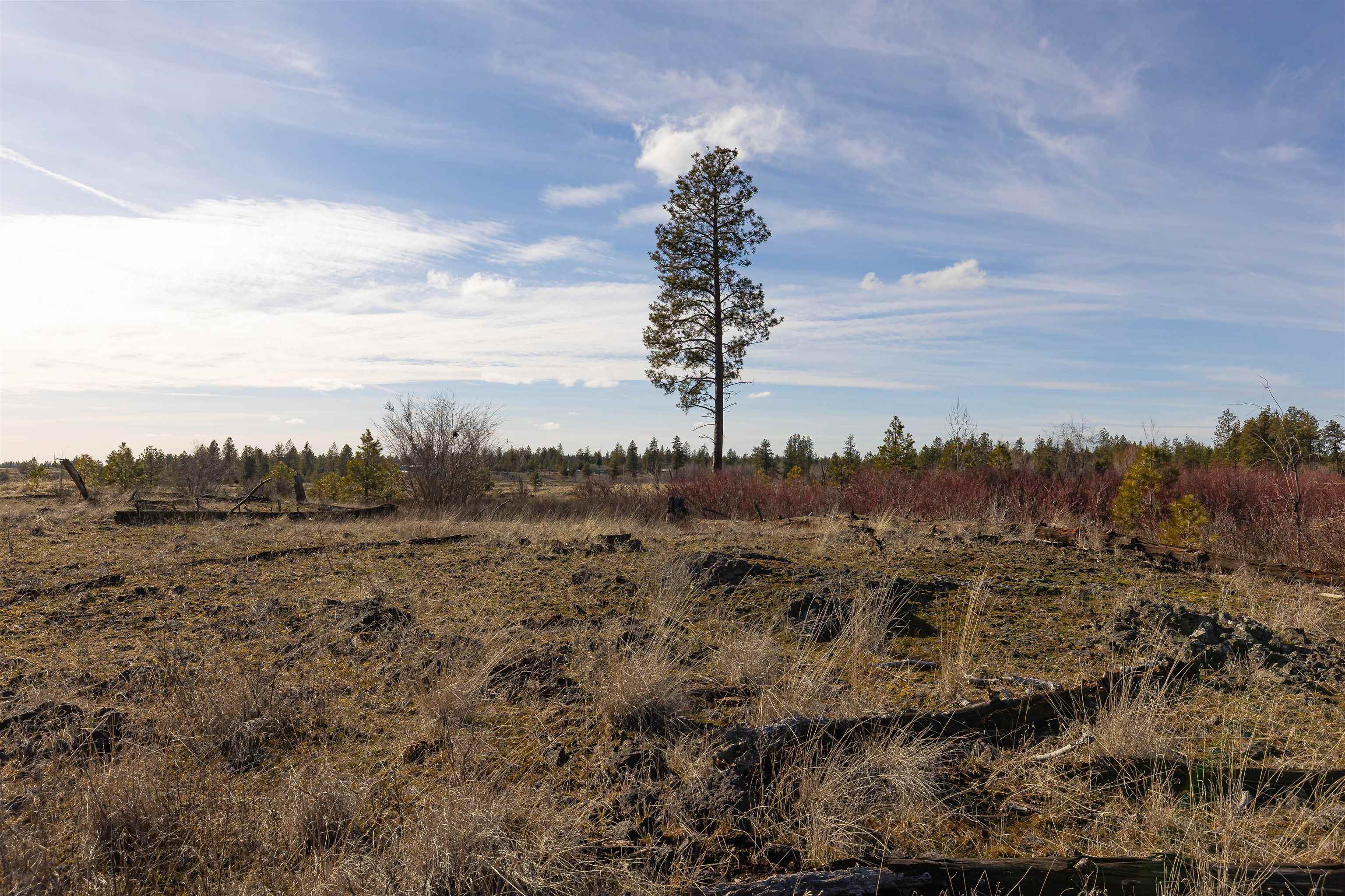 Ank North Gordon Road Spokane, WA 99224 - Photo 11 of 14
