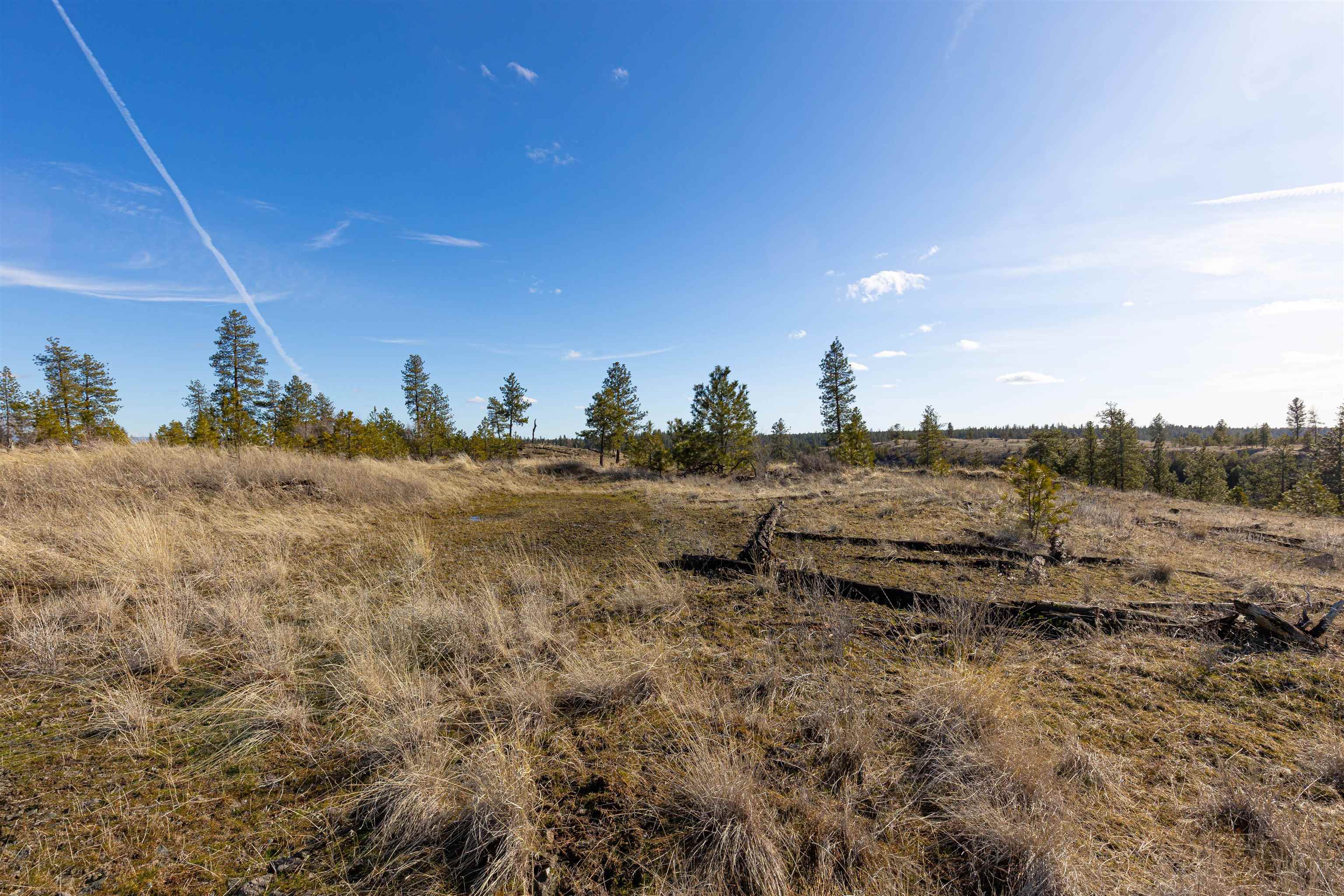 Ank North Gordon Road Spokane, WA 99224 - Photo 13 of 14