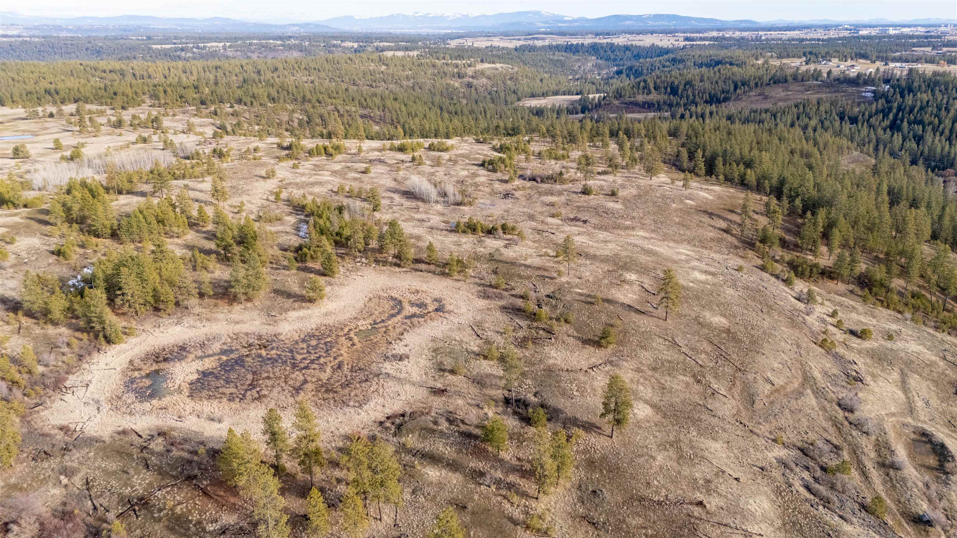 Ank North Gordon Road Spokane, WA 99224 - Photo 3 of 14