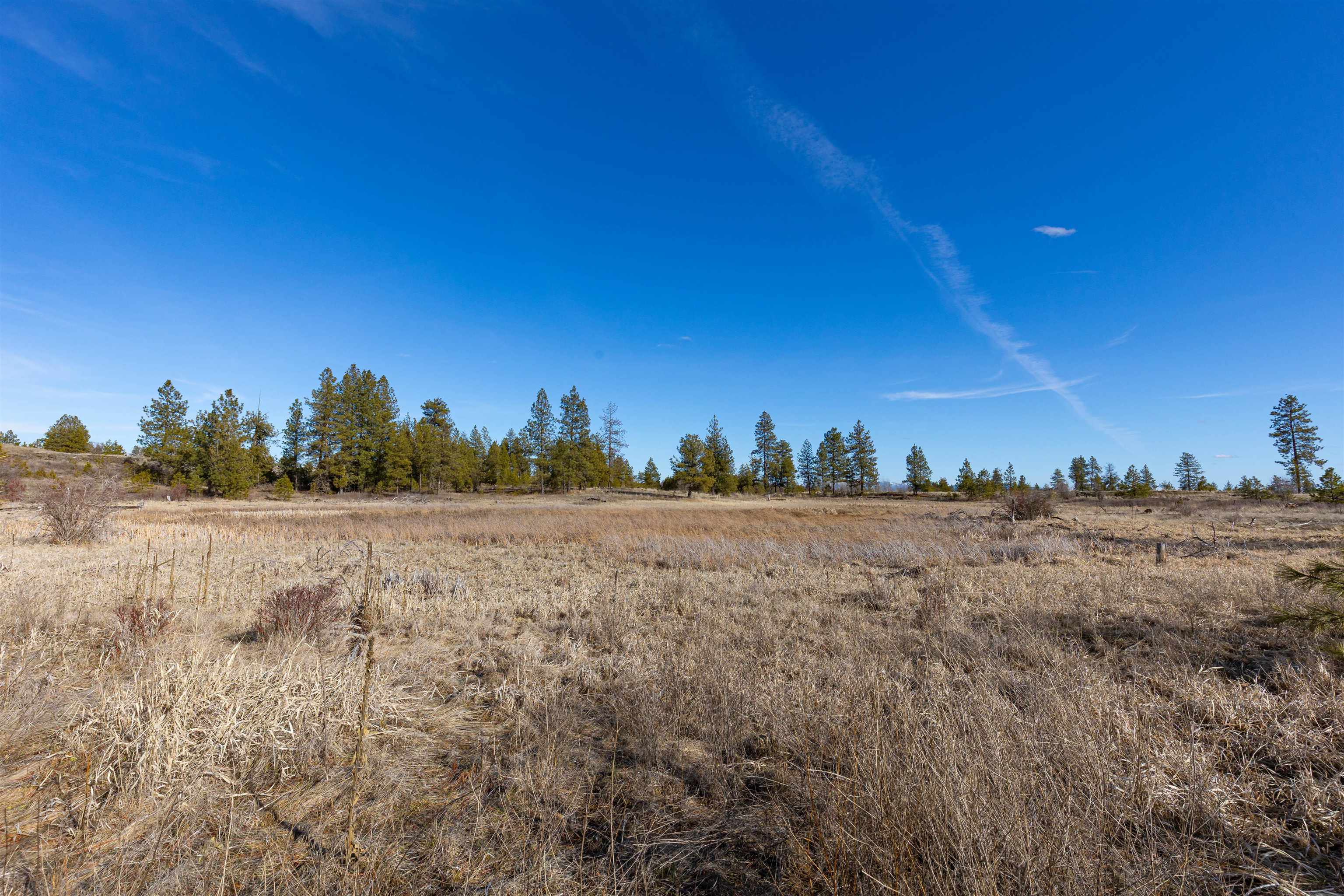 Ank North Gordon Road Spokane, WA 99224 - Photo 7 of 14