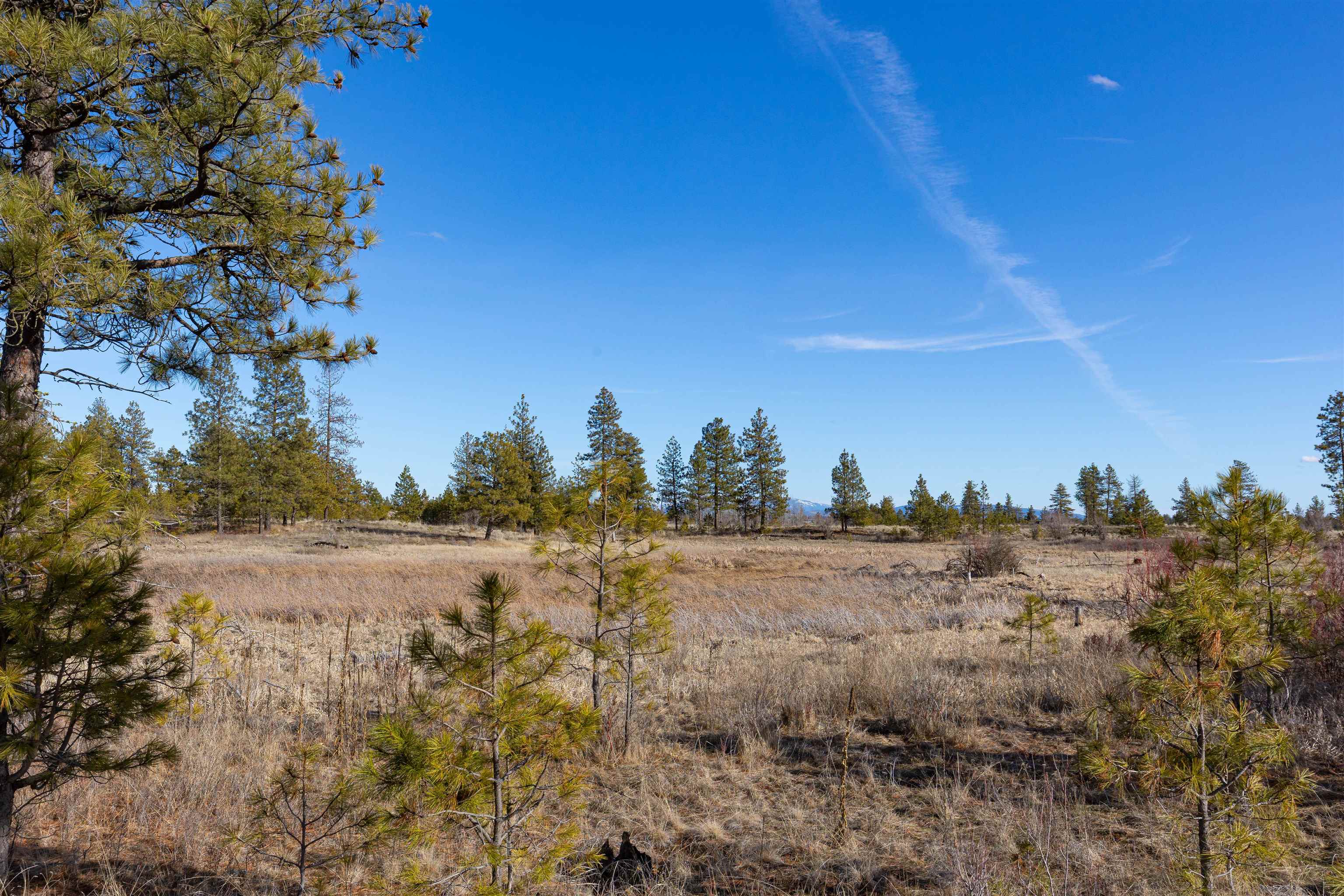 Ank North Gordon Road Spokane, WA 99224 - Photo 8 of 14