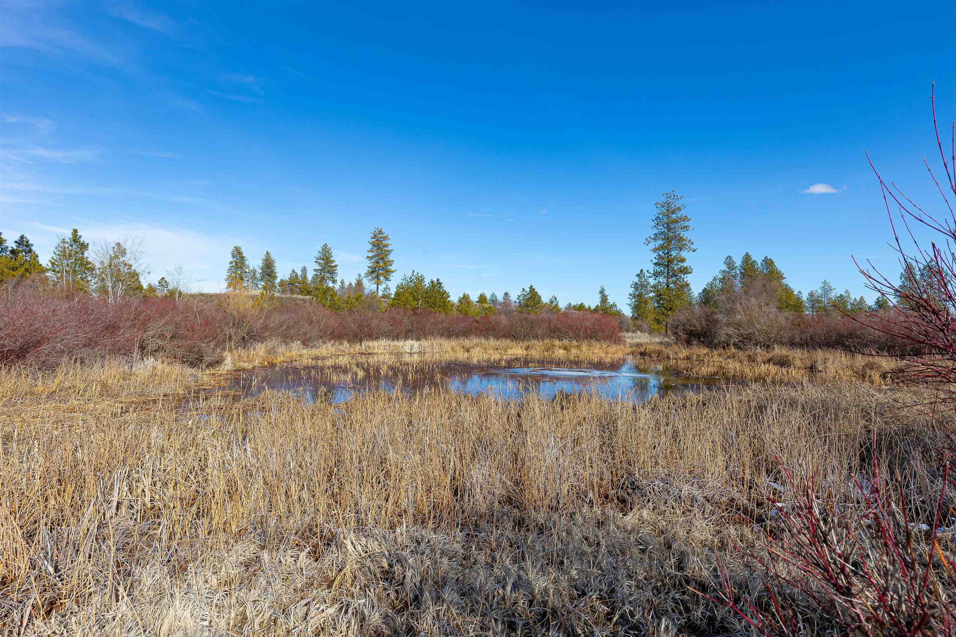Ank North Gordon Road Spokane, WA 99224 - Photo 9 of 14