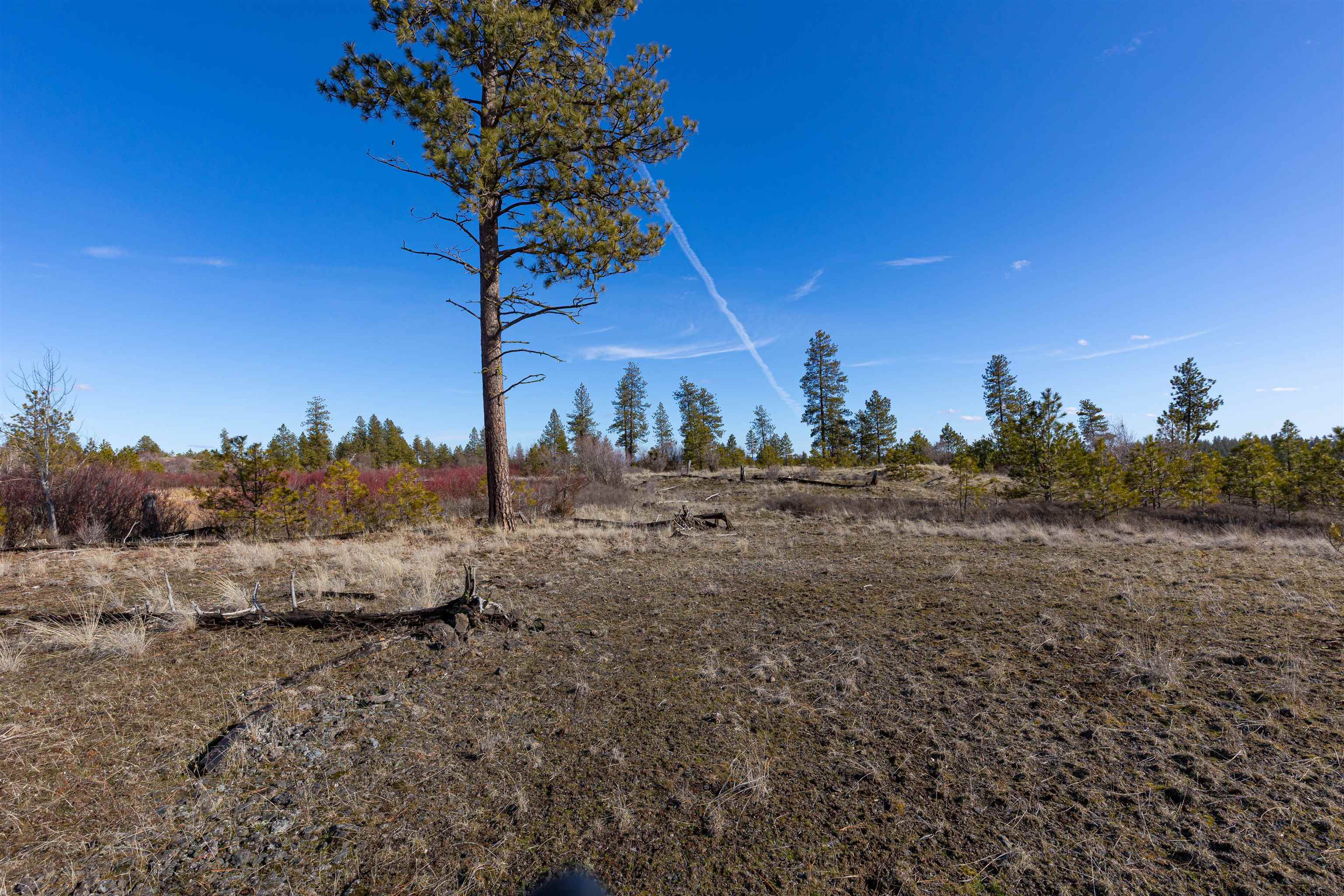 Ank North Gordon Road Spokane, WA 99224 - Photo 10 of 14