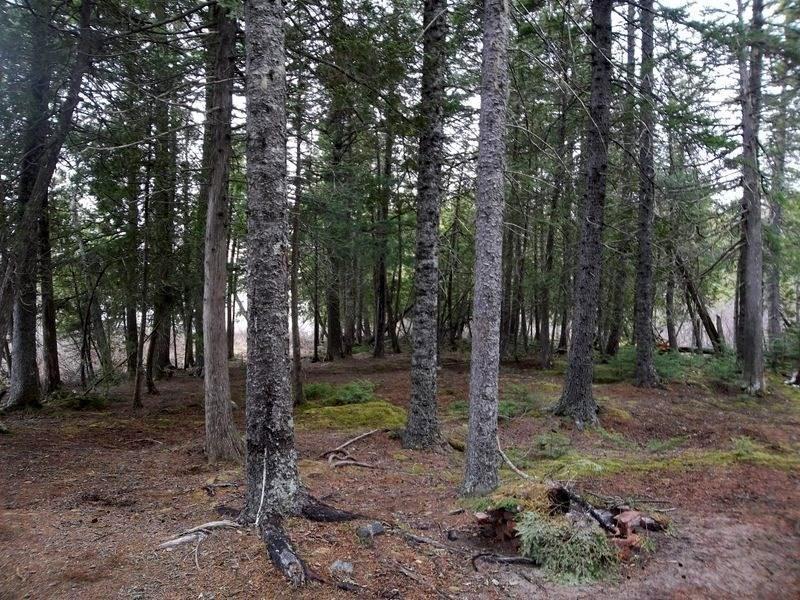 Xx Xx Stagecoach Road Dennysville, ME 04628 - Photo 22 of 34 Photo