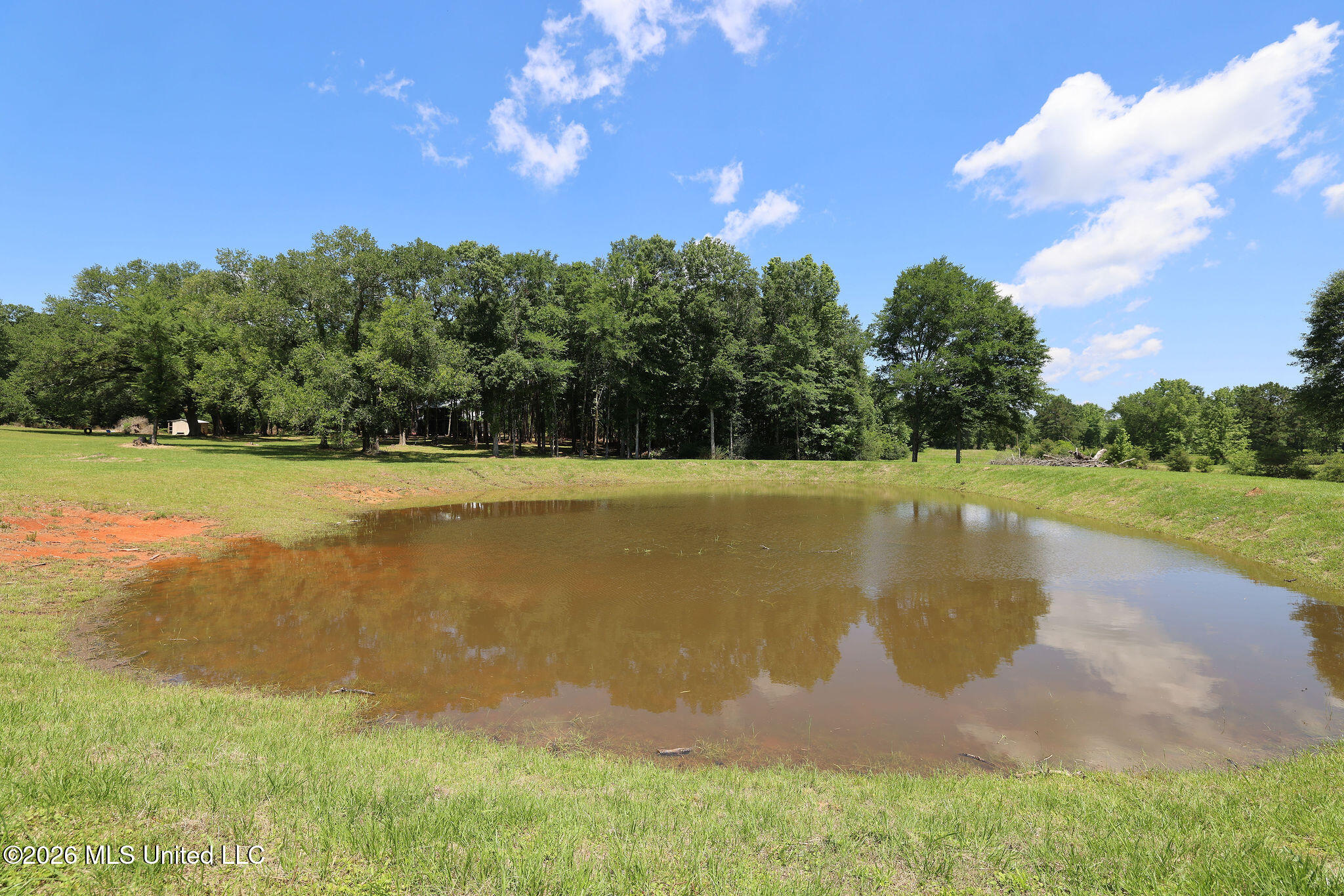 37 Fortenberry Road Tylertown, MS 39667 - Photo 41 of 83 CE4A1481