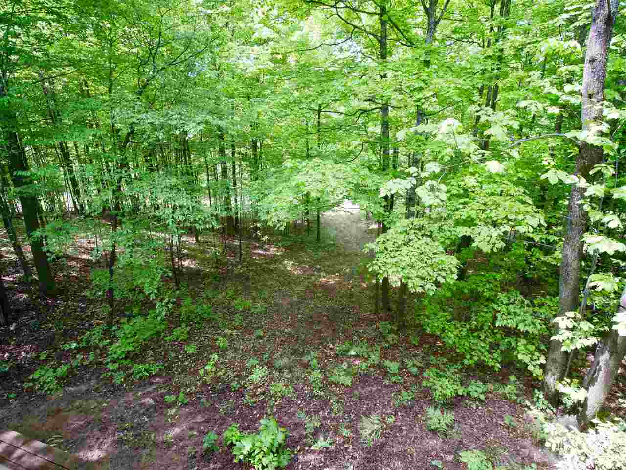 5416 Ingersoll Road Southwest Fife Lake, MI 49633 - Photo 7 of 39 1874937-6.JPG