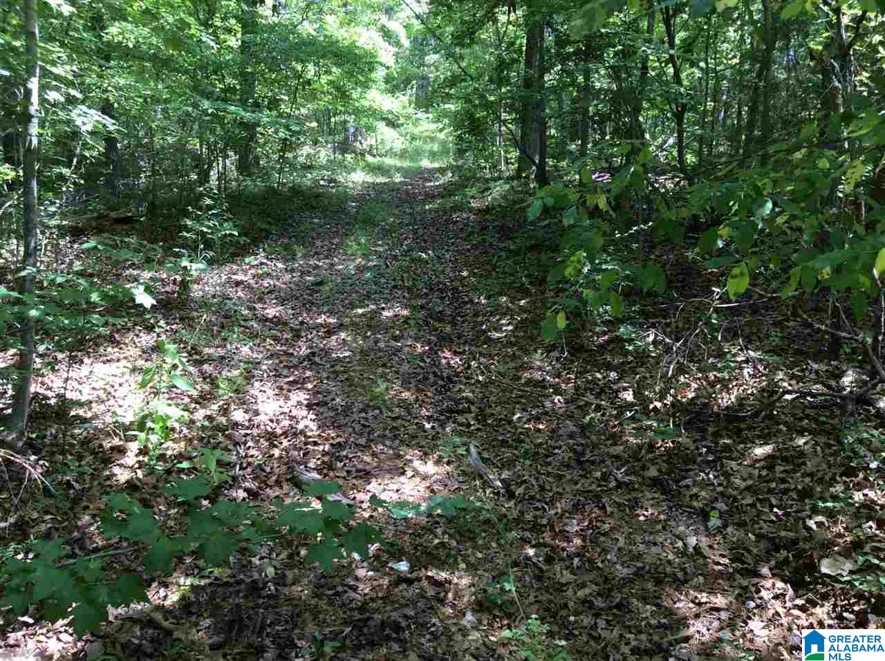 Hoyt Hill Road, Unit 1 Ashville, AL 35953 - Photo 7 of 13