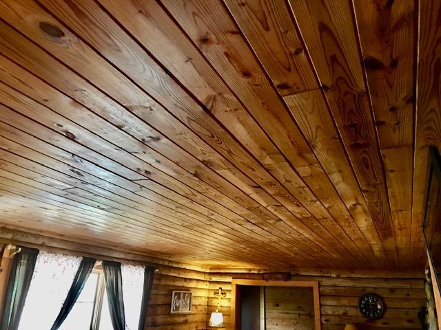 3700 West Pines Road Greeneville, TN 37745 - Photo 7 of 25 Ceilings