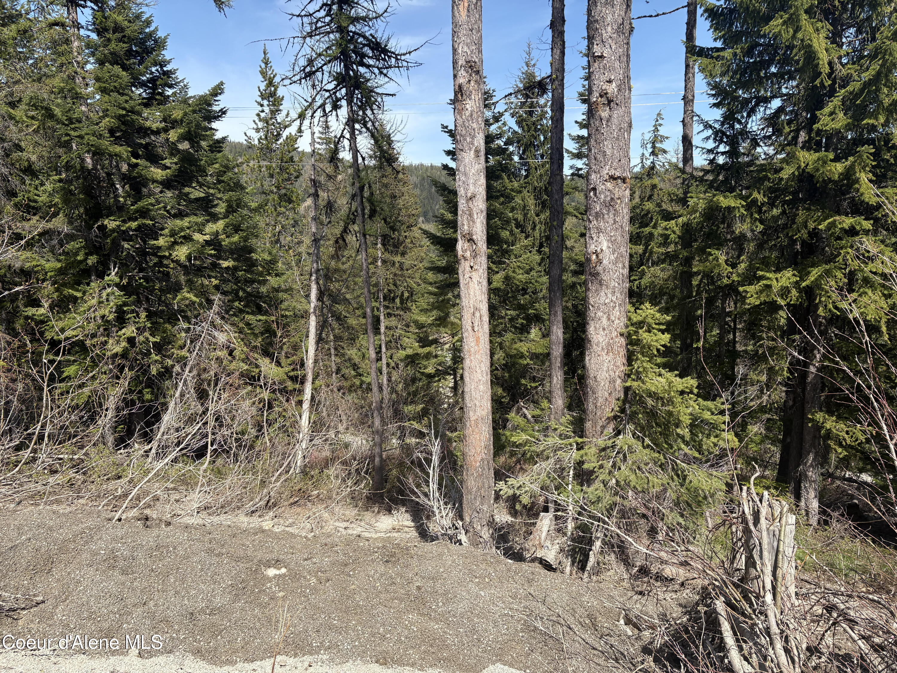 06 Parallel Run Sandpoint, ID 83864 - Photo 2 of 5 Top of Lot