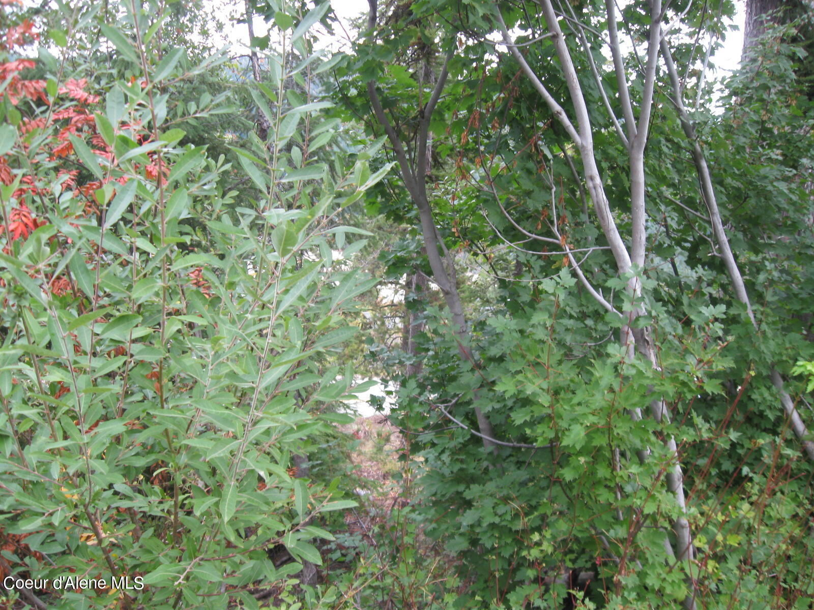 06 Parallel Run Sandpoint, ID 83864 - Photo 4 of 6 IMG_0626