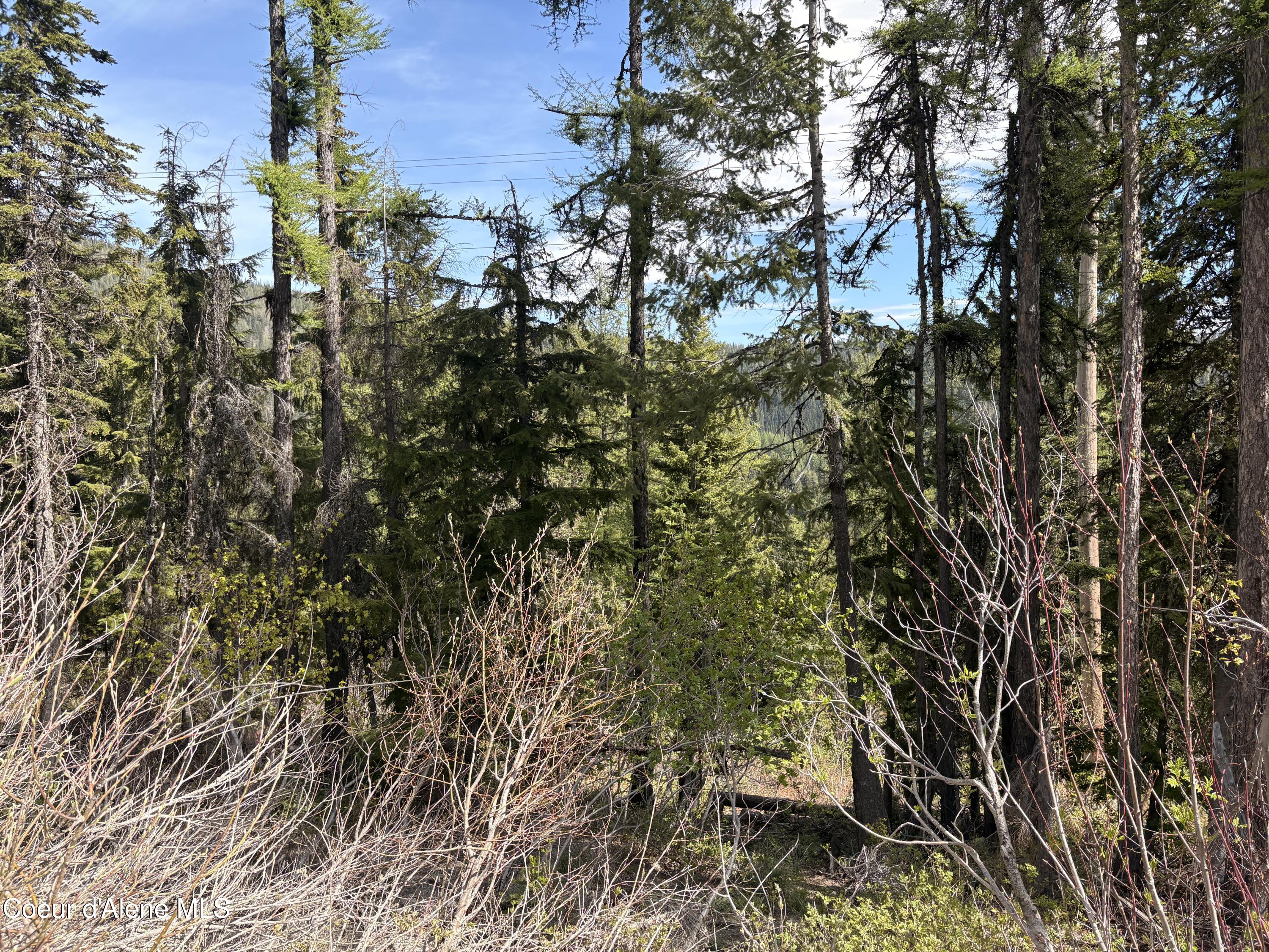06 Parallel Run Sandpoint, ID 83864 - Photo 4 of 5 View from Parallel Run Lot 10