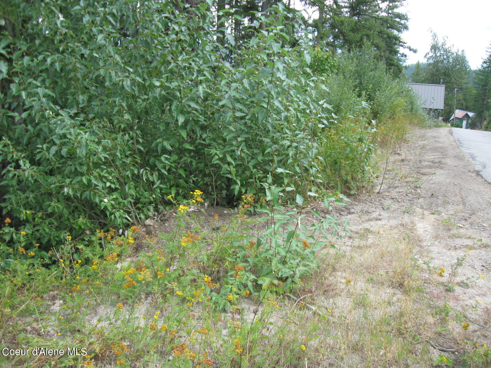 06 Parallel Run Sandpoint, ID 83864 - Photo 6 of 6 IMG_0620