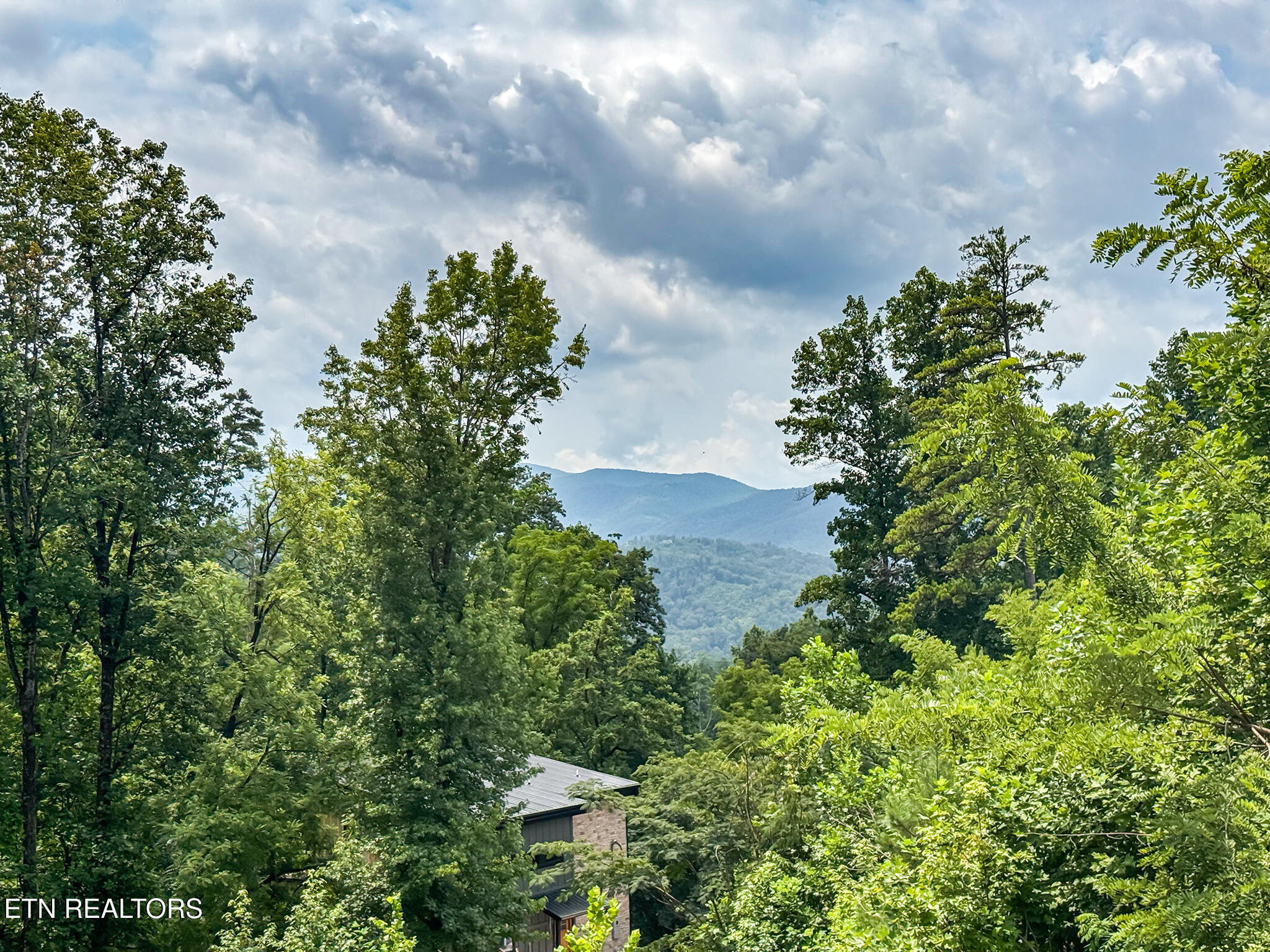 626 Jess Field Road Gatlinburg, TN 37738 - Photo 54 of 55 view 3