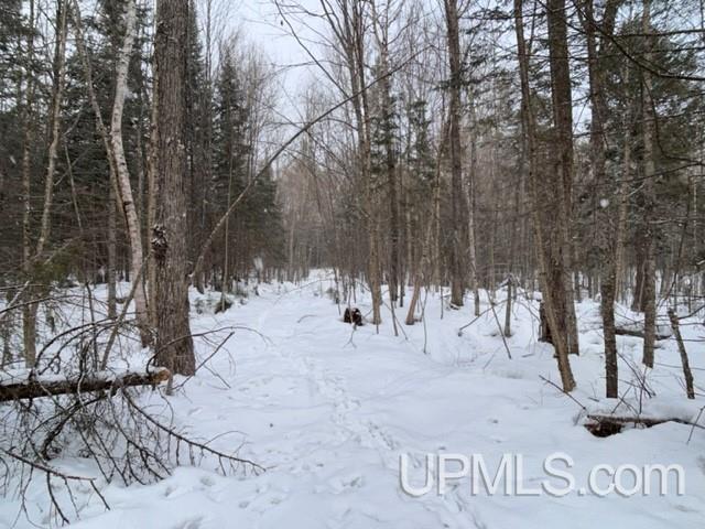 Tbd Rabbit Bay Road Lake Linden, MI 49945 - Photo 22 of 40 Gallery Image 22