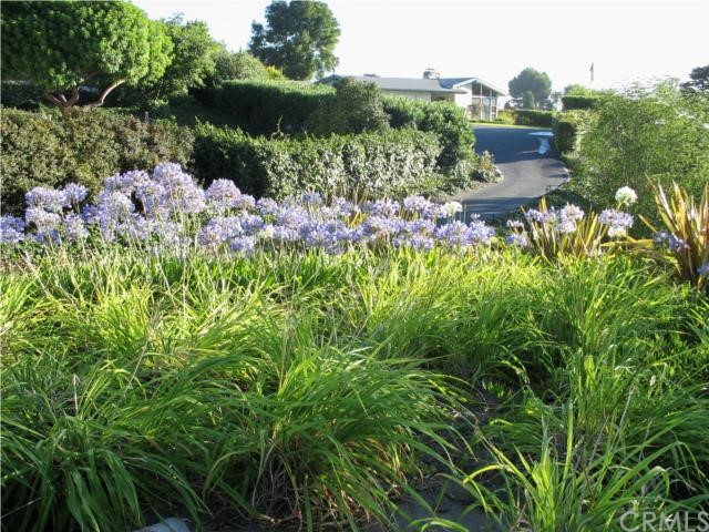 28762 Crestridge Road Rancho Palos Verdes, CA 90275 - Photo 1 of 1 Looking up the driveway at the home