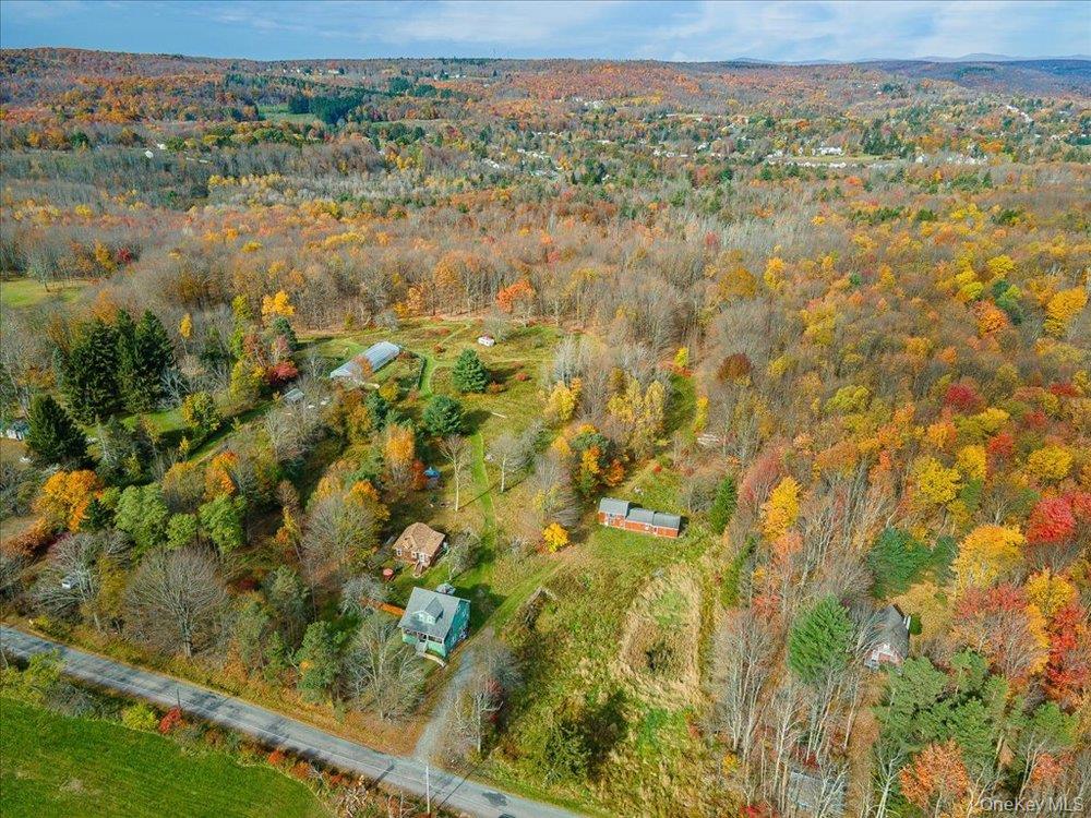 30 Walnut Mountain Road Liberty, NY 12754 - Photo 3 of 48