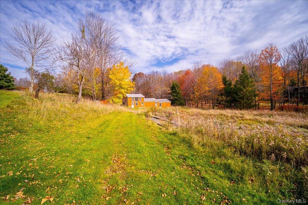 30 Walnut Mountain Road Liberty, NY 12754 - Photo 45 of 48