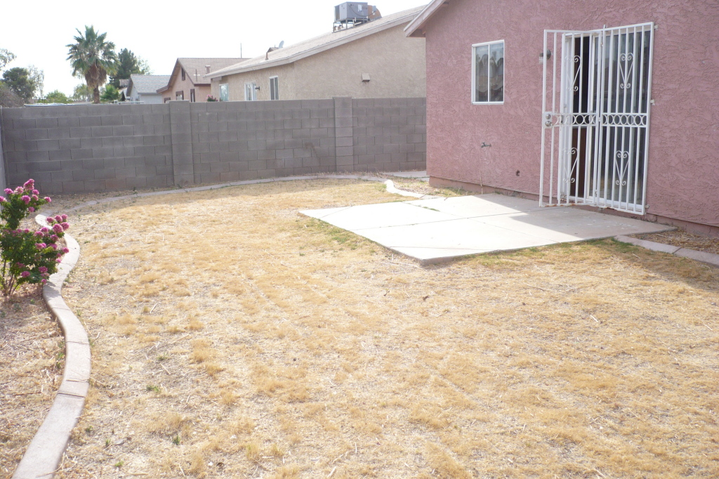 Backyard