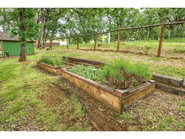 a view of a backyard