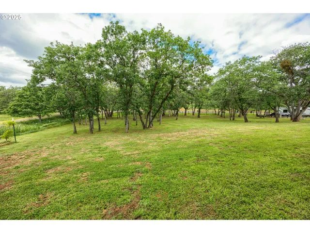 a grassy field with trees in the background