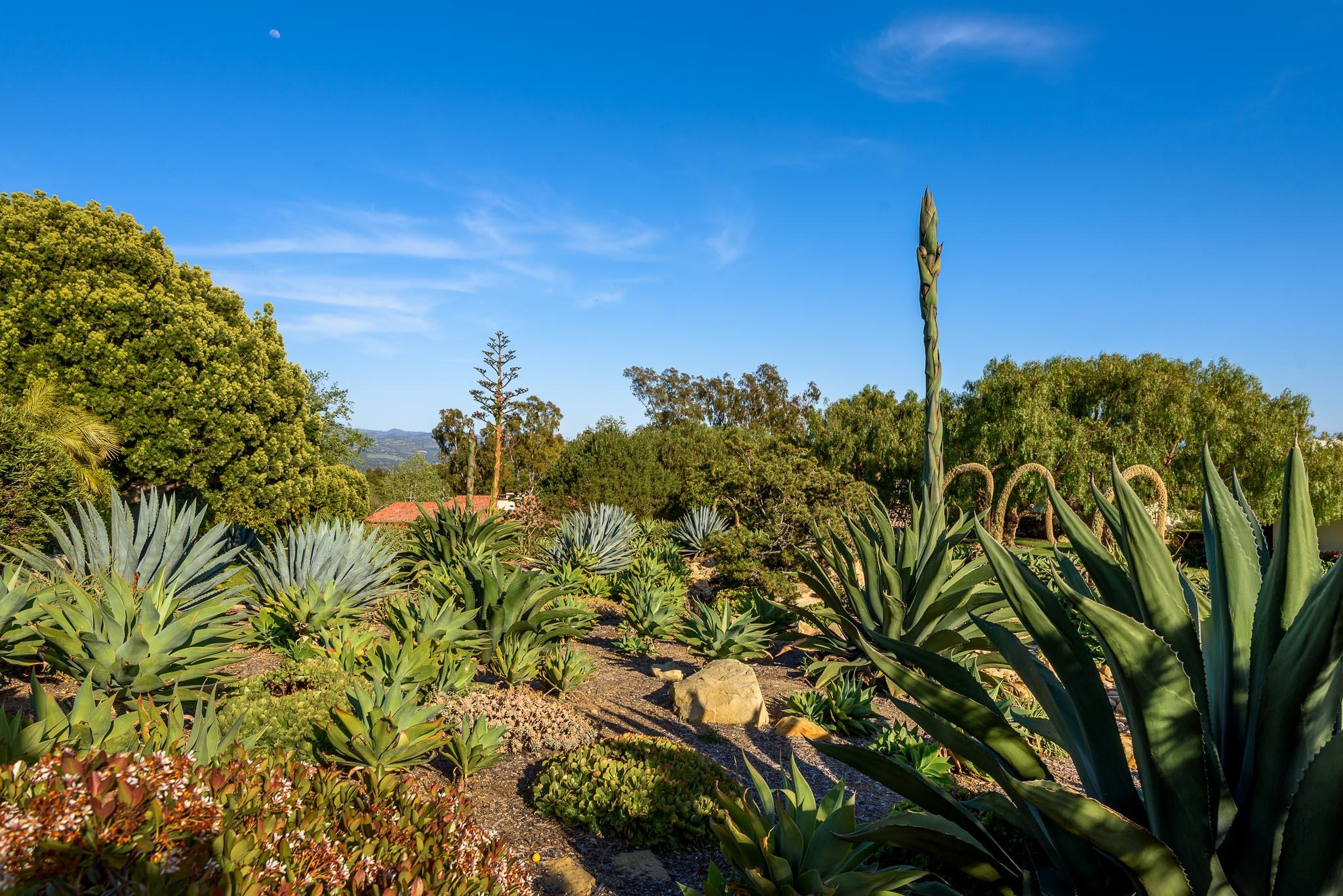 141 Coronada Circle Santa Barbara, CA 93108 - Photo 21 of 23 BackYard