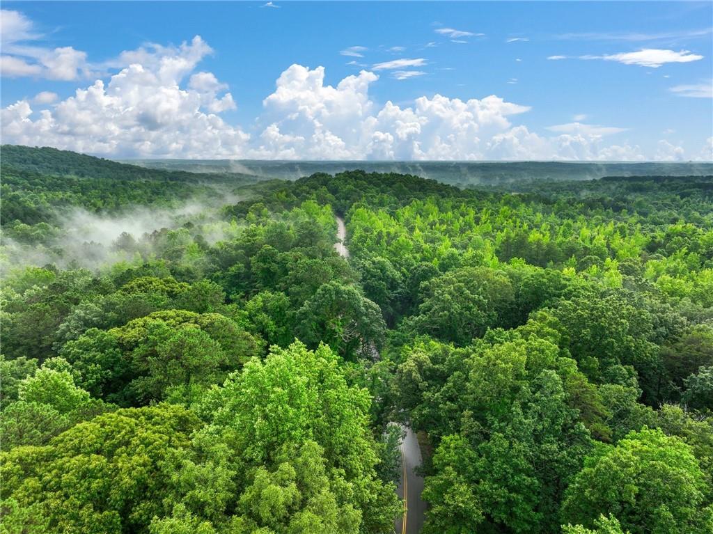 3 Cooper Bridge Road Gainesville, GA 30507 - Photo 13 of 19 a view of a lake in middle of the forest
