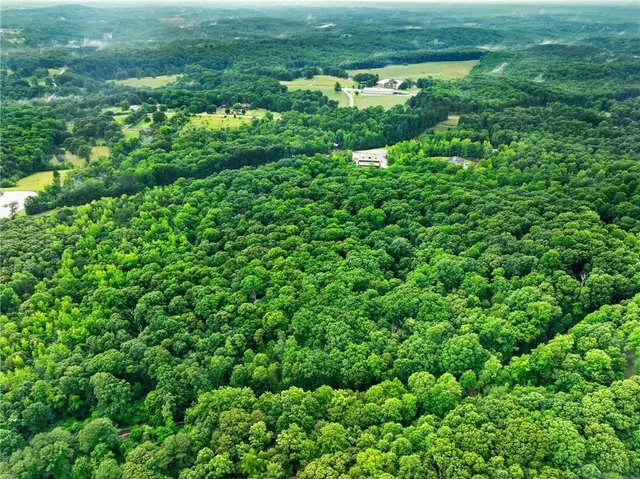 a view of a garden with a building