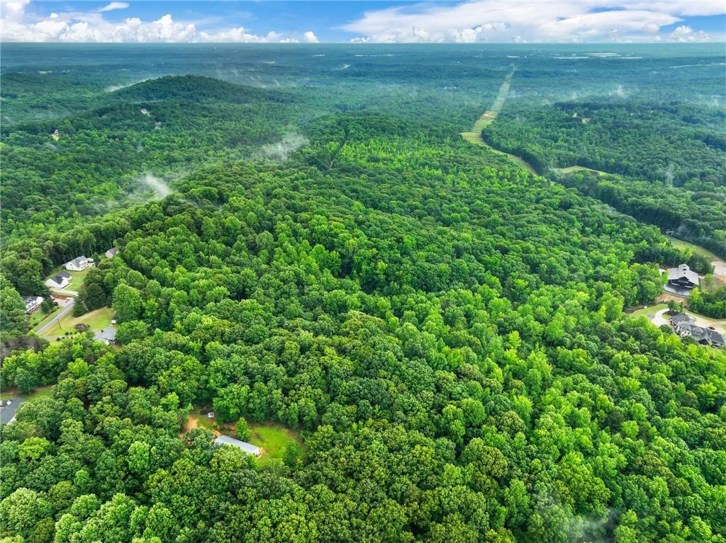 3 Cooper Bridge Road Gainesville, GA 30507 - Photo 16 of 19 a view of a garden