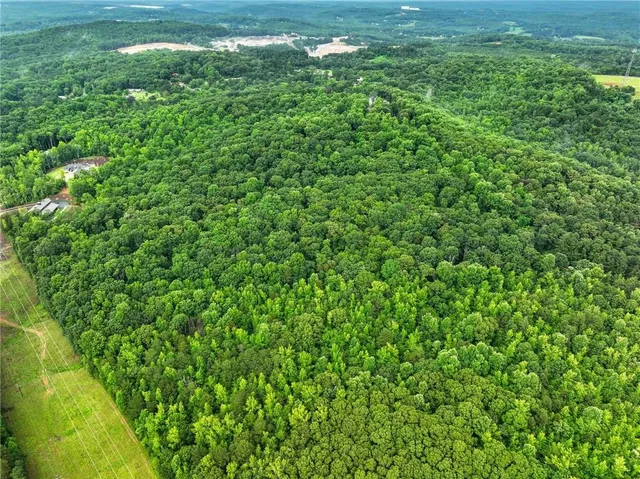 a view of a big yard with large trees