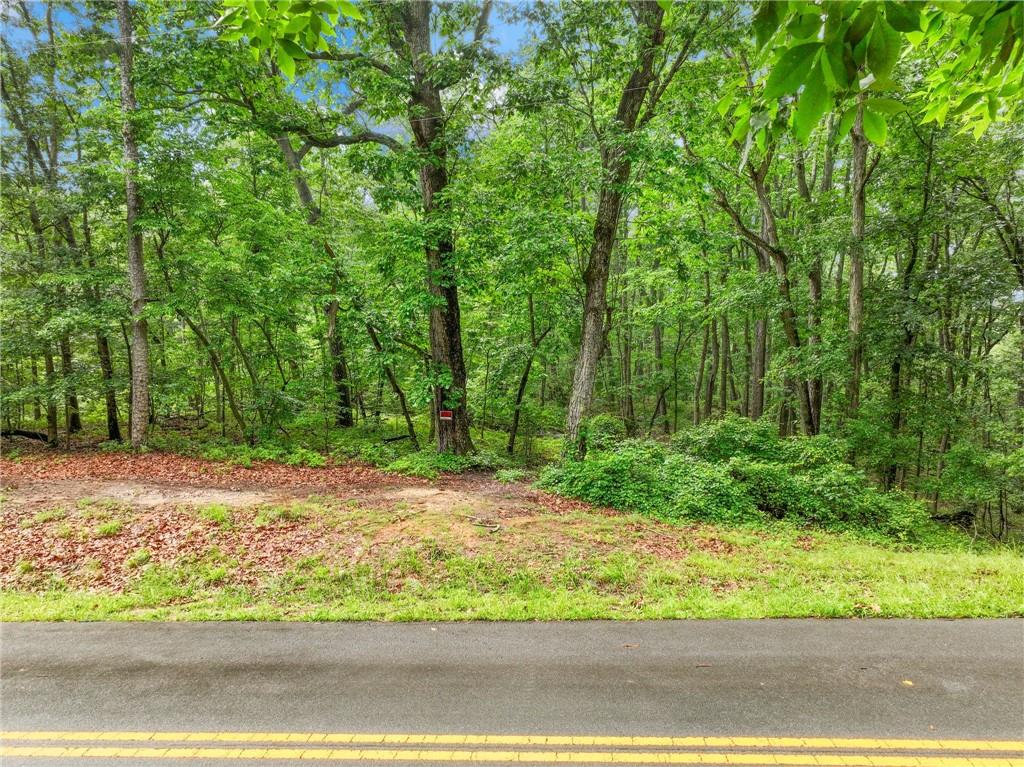 3 Cooper Bridge Road Gainesville, GA 30507 - Photo 2 of 19 a wooden view of a yard