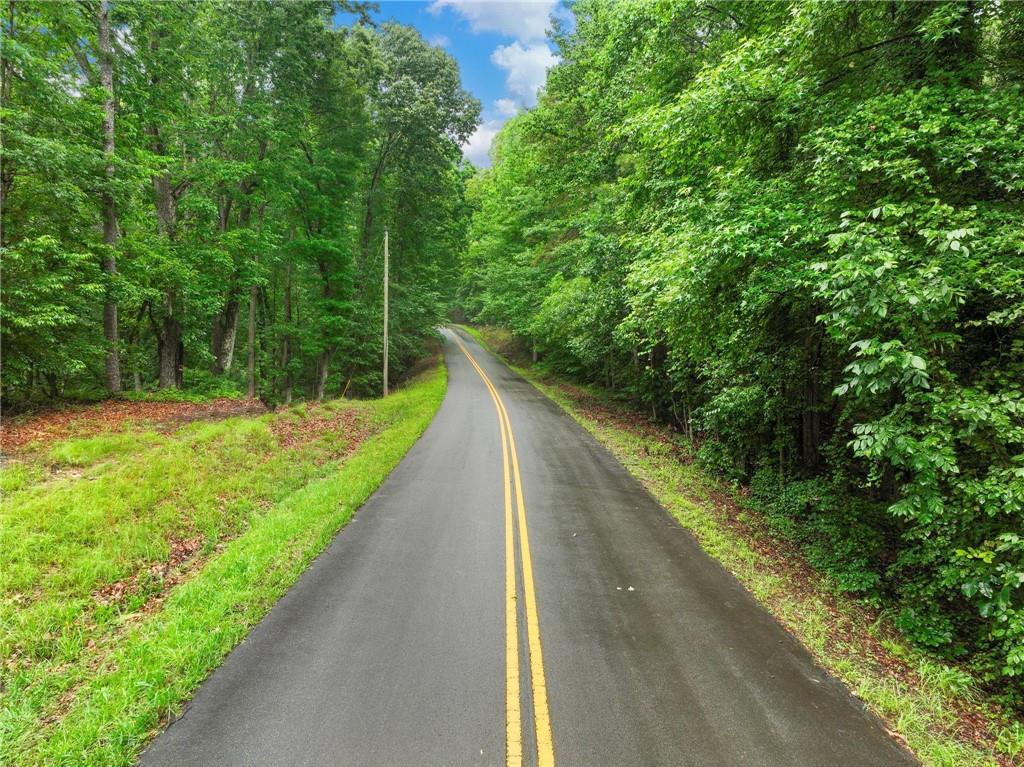 3 Cooper Bridge Road Gainesville, GA 30507 - Photo 4 of 19 a view of a yard with potted plants