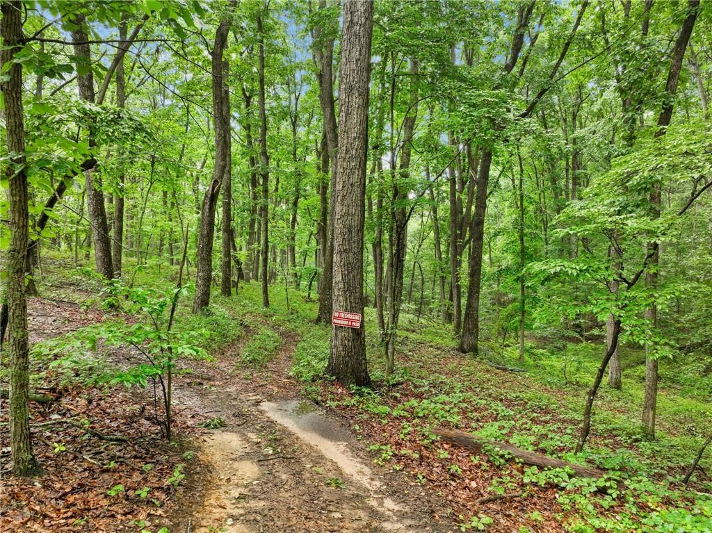 3 Cooper Bridge Road Gainesville, GA 30507 - Photo 7 of 19 a backyard of a house with lots of green space