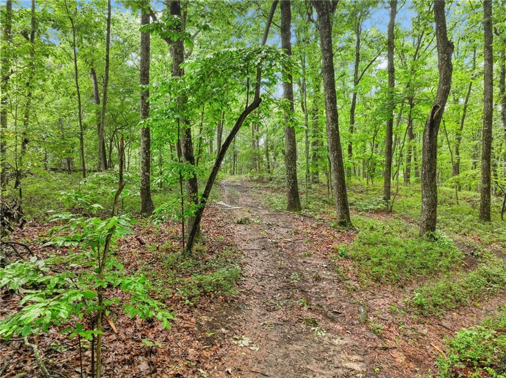 3 Cooper Bridge Road Gainesville, GA 30507 - Photo 8 of 19 a view of outdoor space and trees