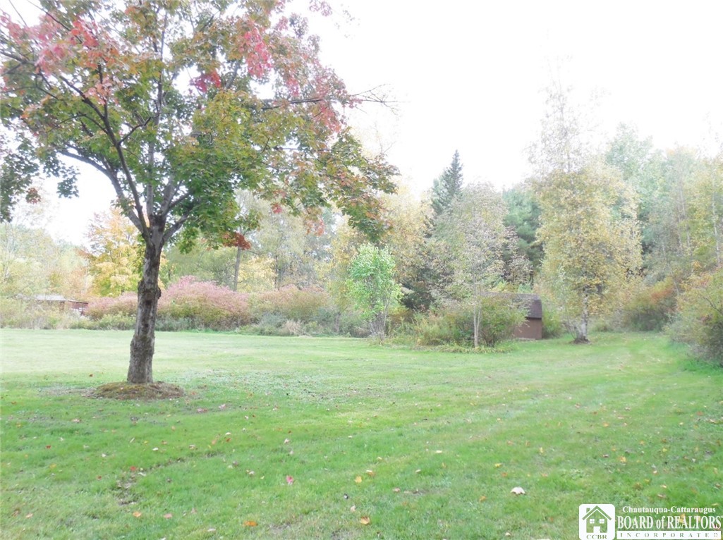 2515 Carlson Road Kiantone, NY 14701 - Photo 4 of 19 Rear Site View