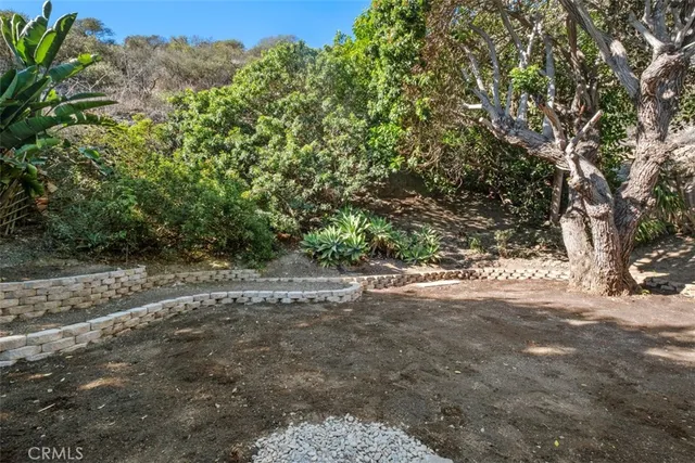 a view of a yard with a tree