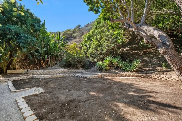 a view of a yard with plants and trees