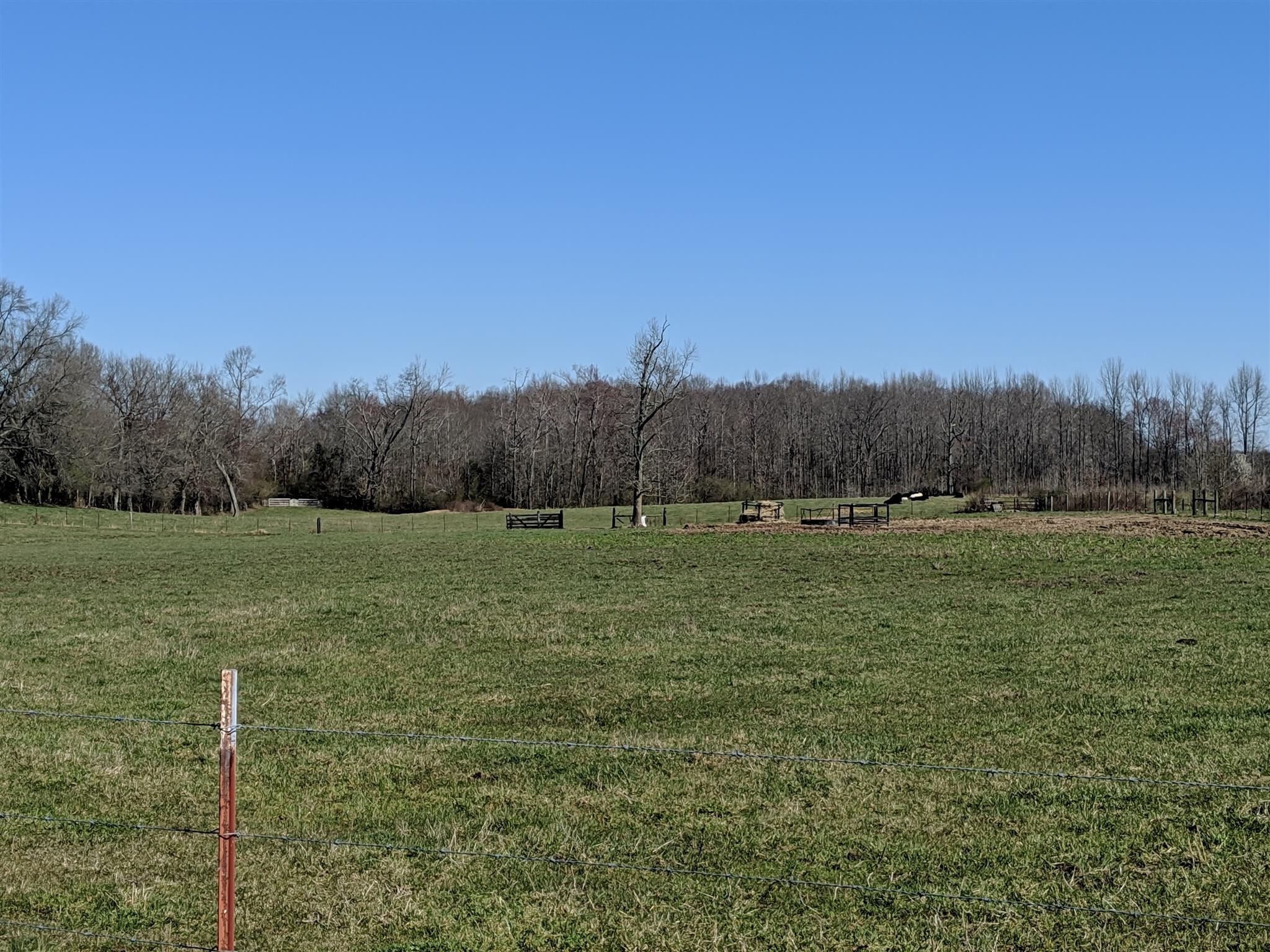 2280 Bybee Branch Road McMinnville, TN 37110 - Photo 8 of 15 Gallery Image 8