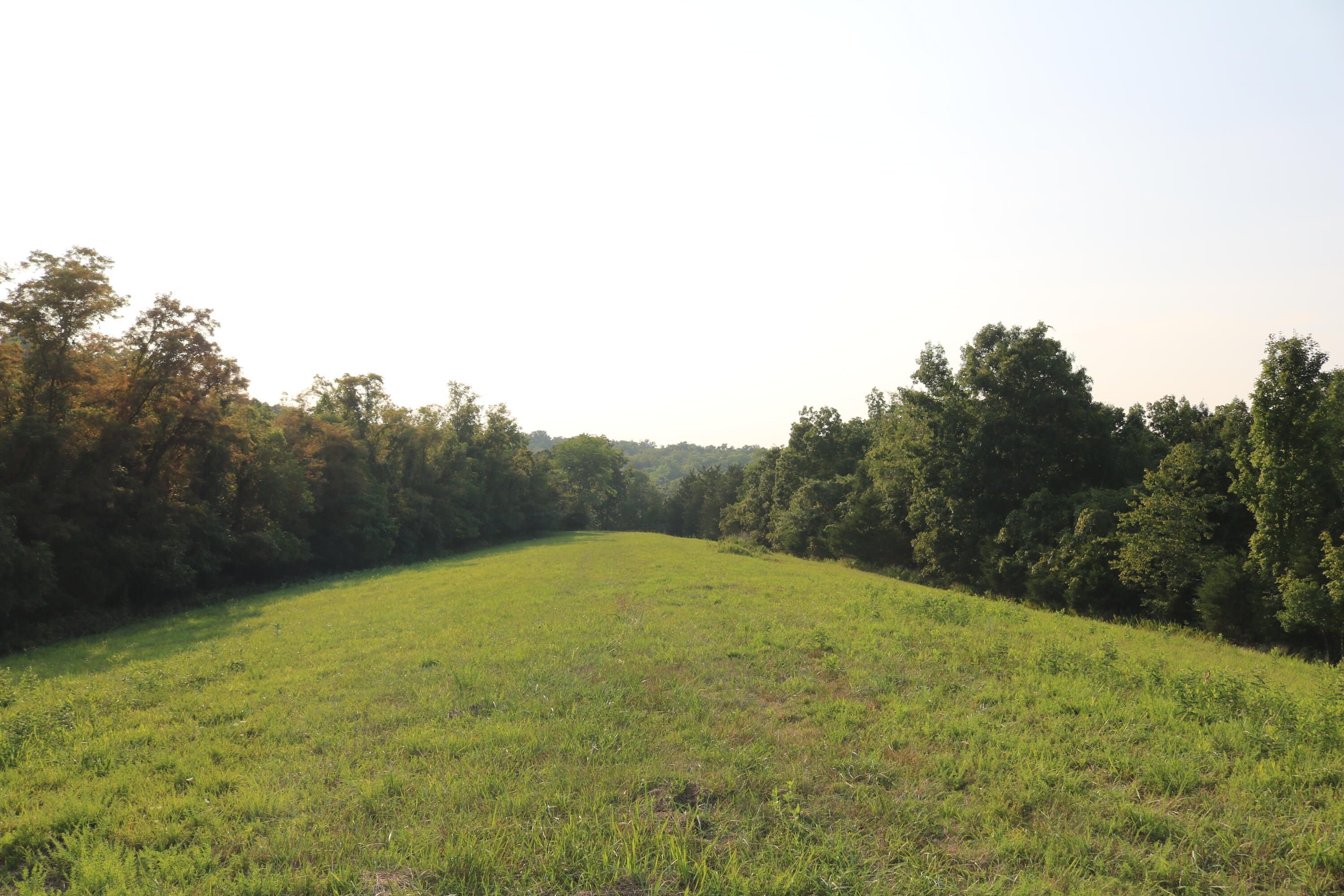 280 Saltwell Road Carlisle, KY 40311 - Photo 35 of 47 IMG_7054