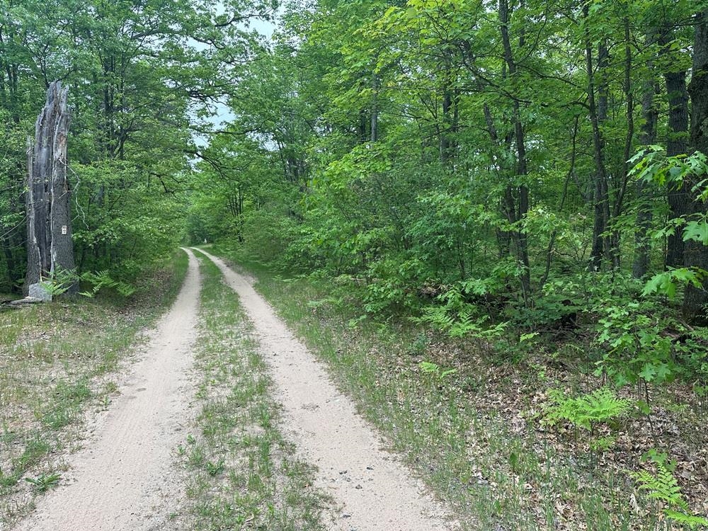 6-acres Easement Road Harrison, MI 48625 - Photo 5 of 8