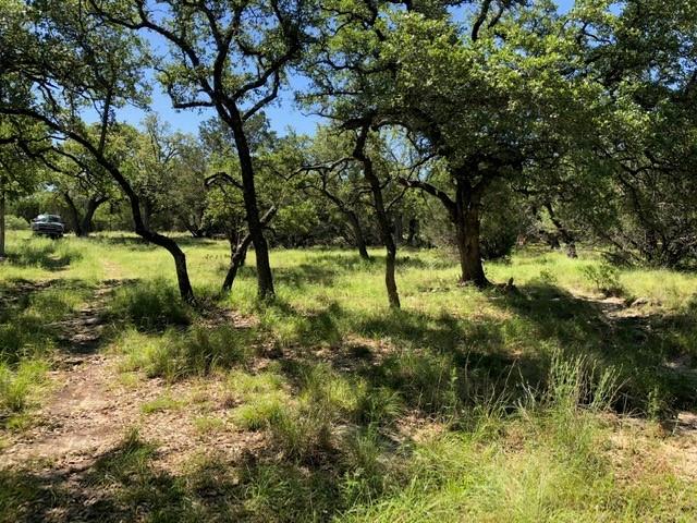 541 Rough Hollow Road Johnson City, TX 78636 - Photo 1 of 30 Main View